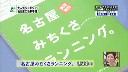 sp008.jpg