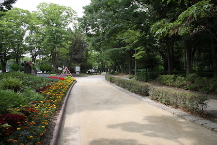 IMG_6358.JPG