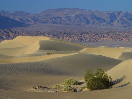 desert.jpg
