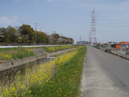 iwakura003.jpg