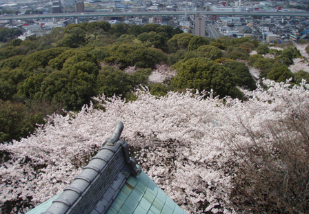 iwakura004.jpg