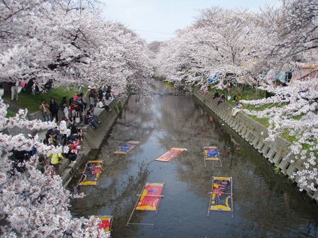 iwakura005.jpg