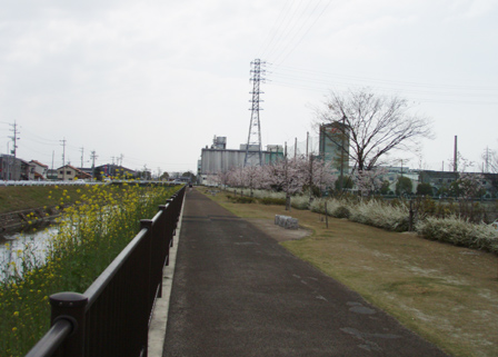 kaerinokawa.jpg