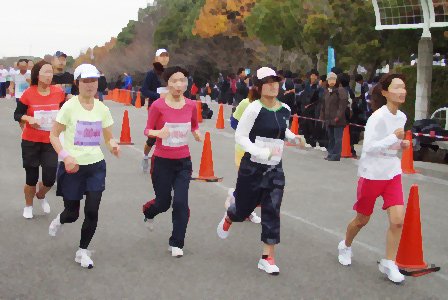 run_shnri02.jpg