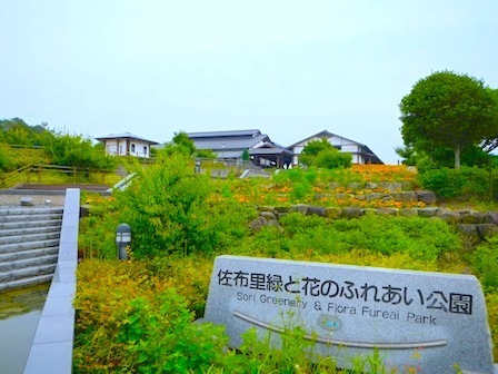 654989.JPG