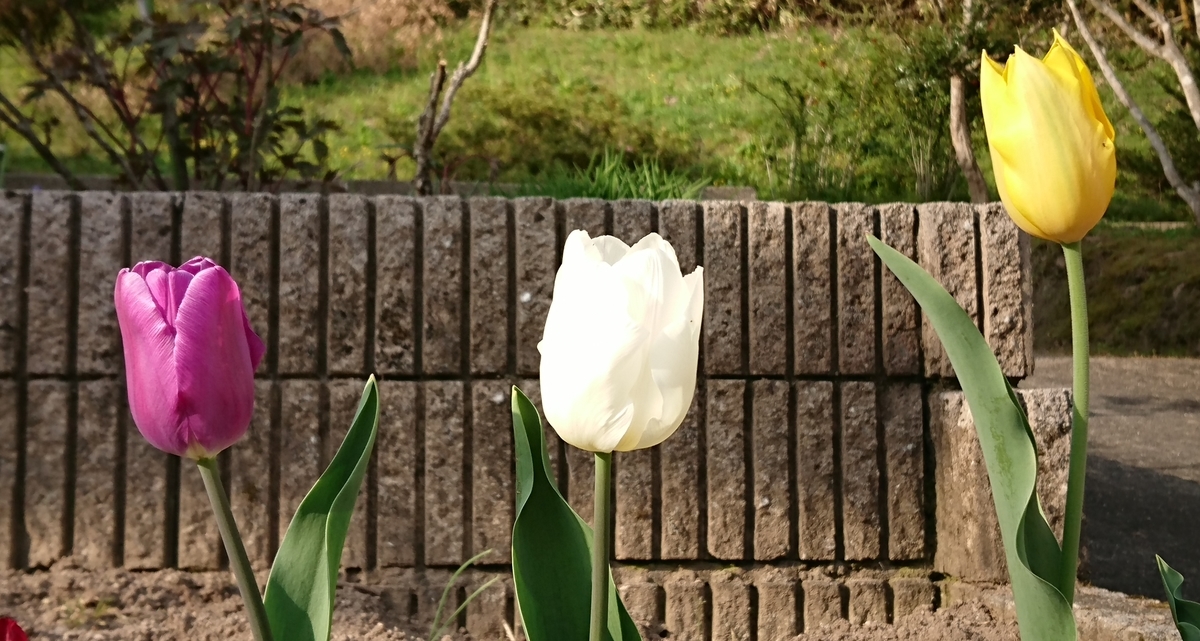f:id:nagoyakapan:20220413144509j:plain