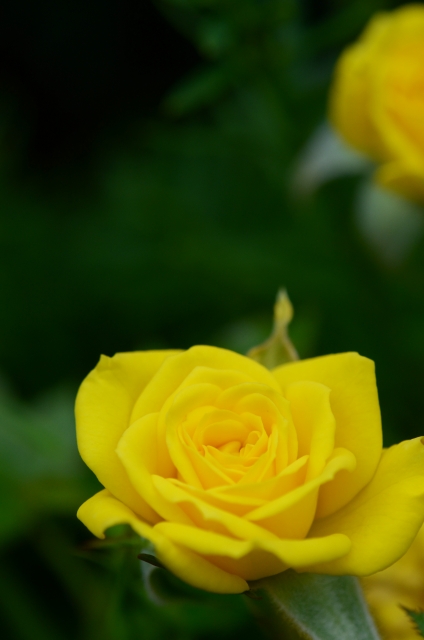 f:id:nagoyaohitori:20200624164348j:plain