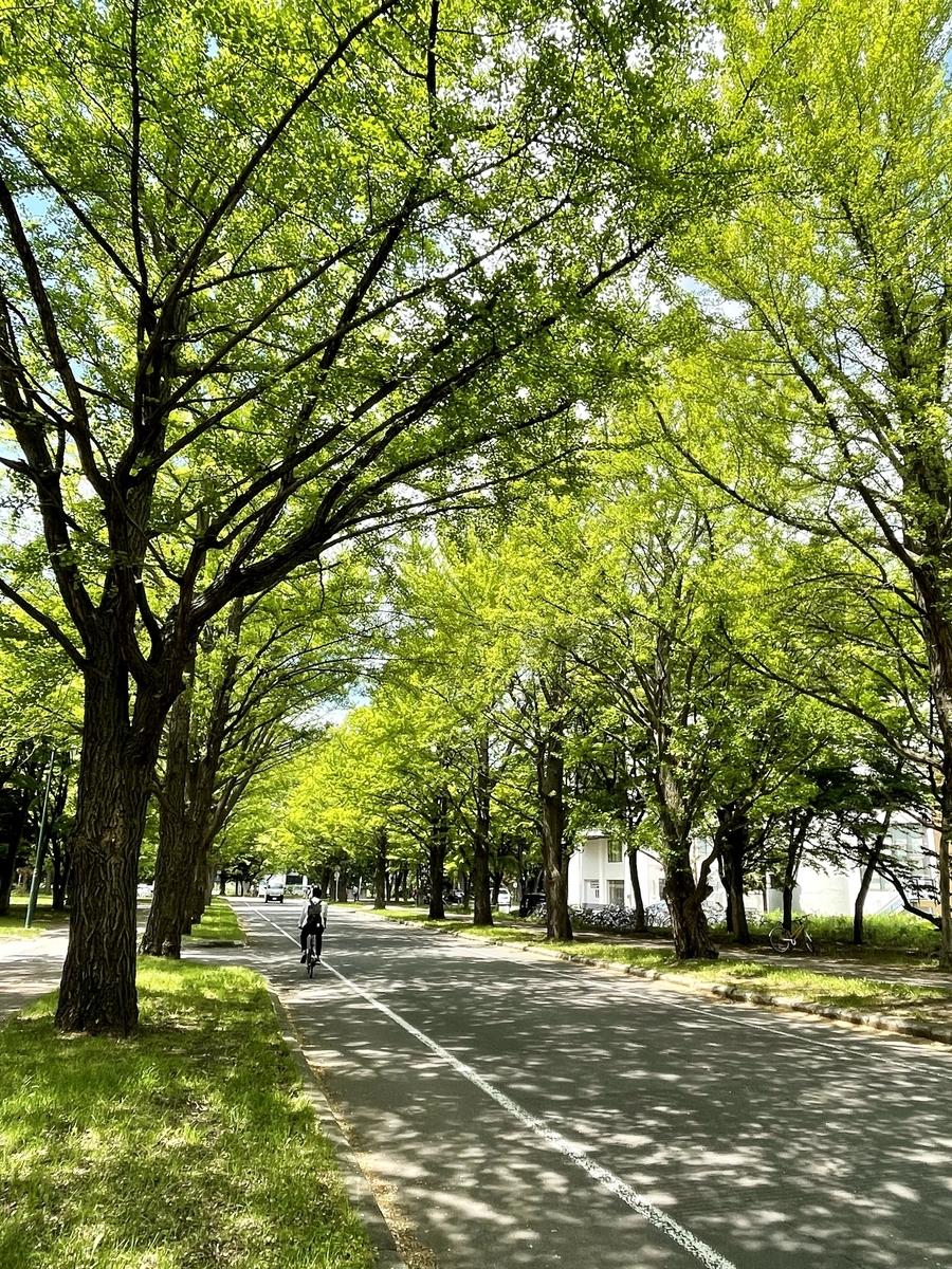 f:id:naha555:20210621161957j:plain