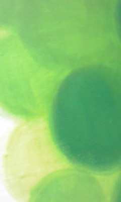 f:id:nahot:20100710234837j:image f:id:nahot:20100710234837j:image