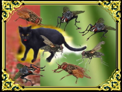 f:id:naie:20200222054550j:plain