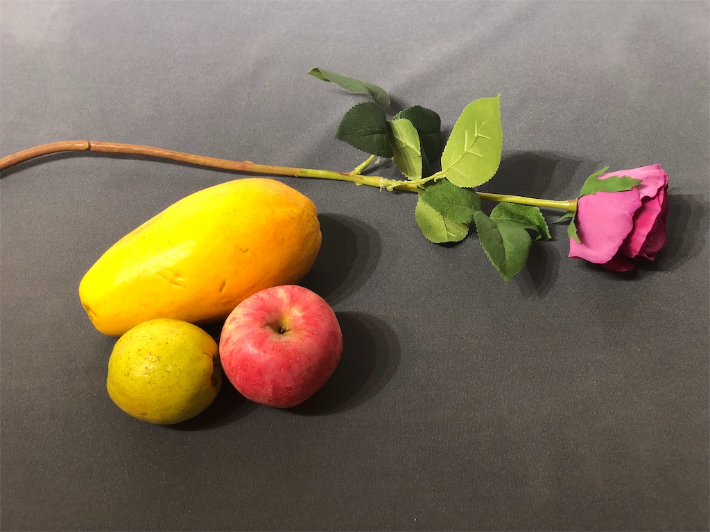 f:id:naikosan:20190419211902j:image