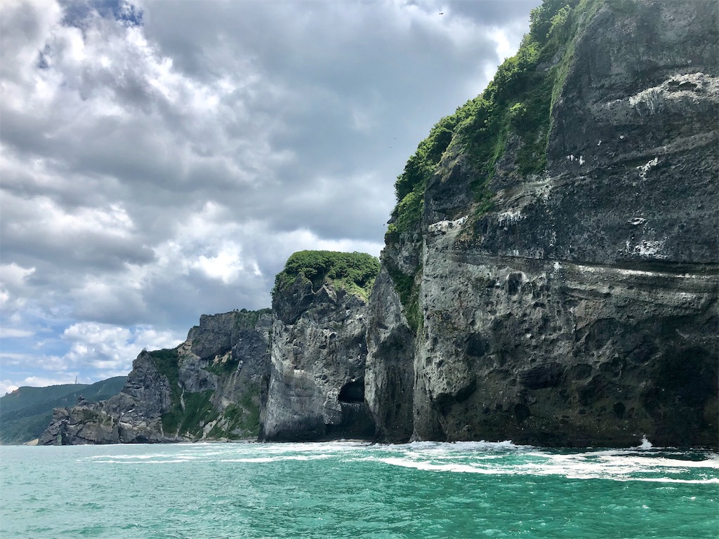 f:id:naikosan:20190618155739j:image f:id:naikosan:20190618155739j:image