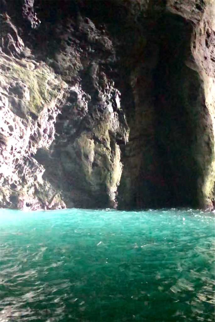 f:id:naikosan:20190618161709j:image f:id:naikosan:20190618161709j:image