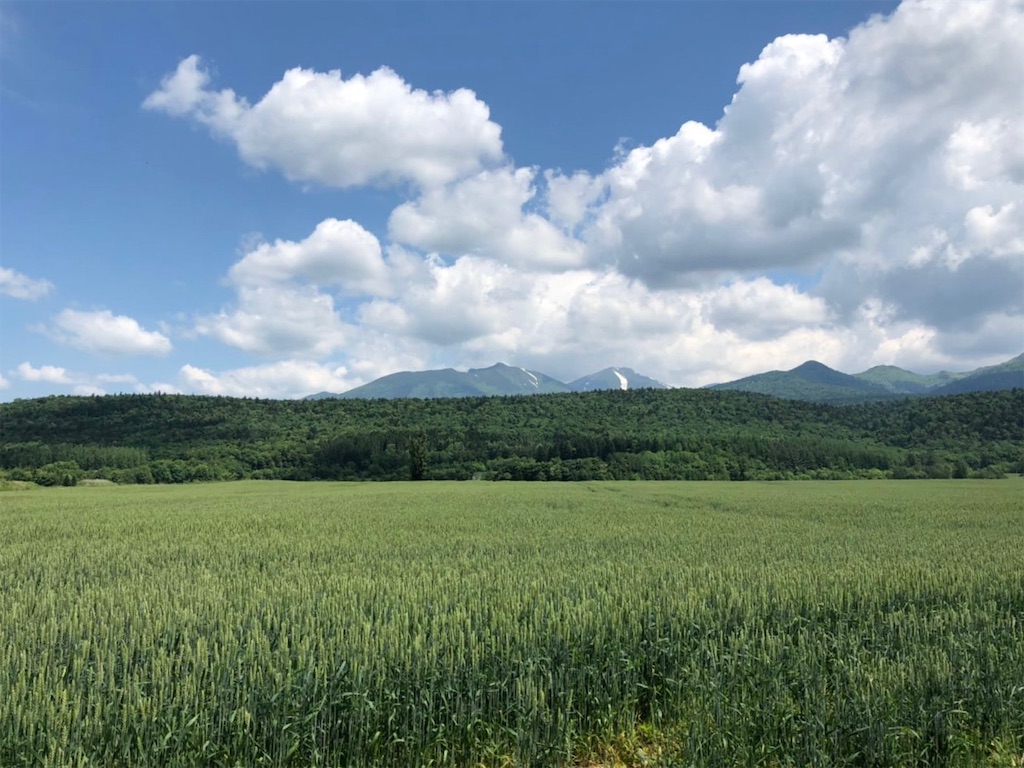 f:id:naikosan:20190620155758j:image f:id:naikosan:20190620155758j:image