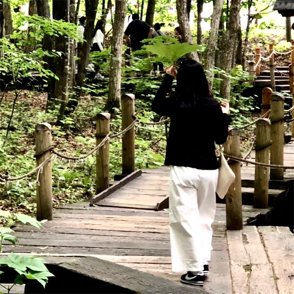 f:id:naikosan:20190620161125j:image f:id:naikosan:20190620161125j:image