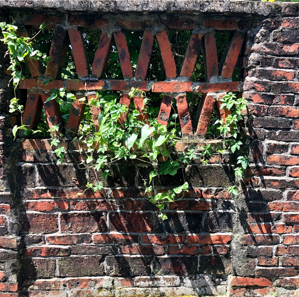 f:id:naikosan:20190924202026j:image