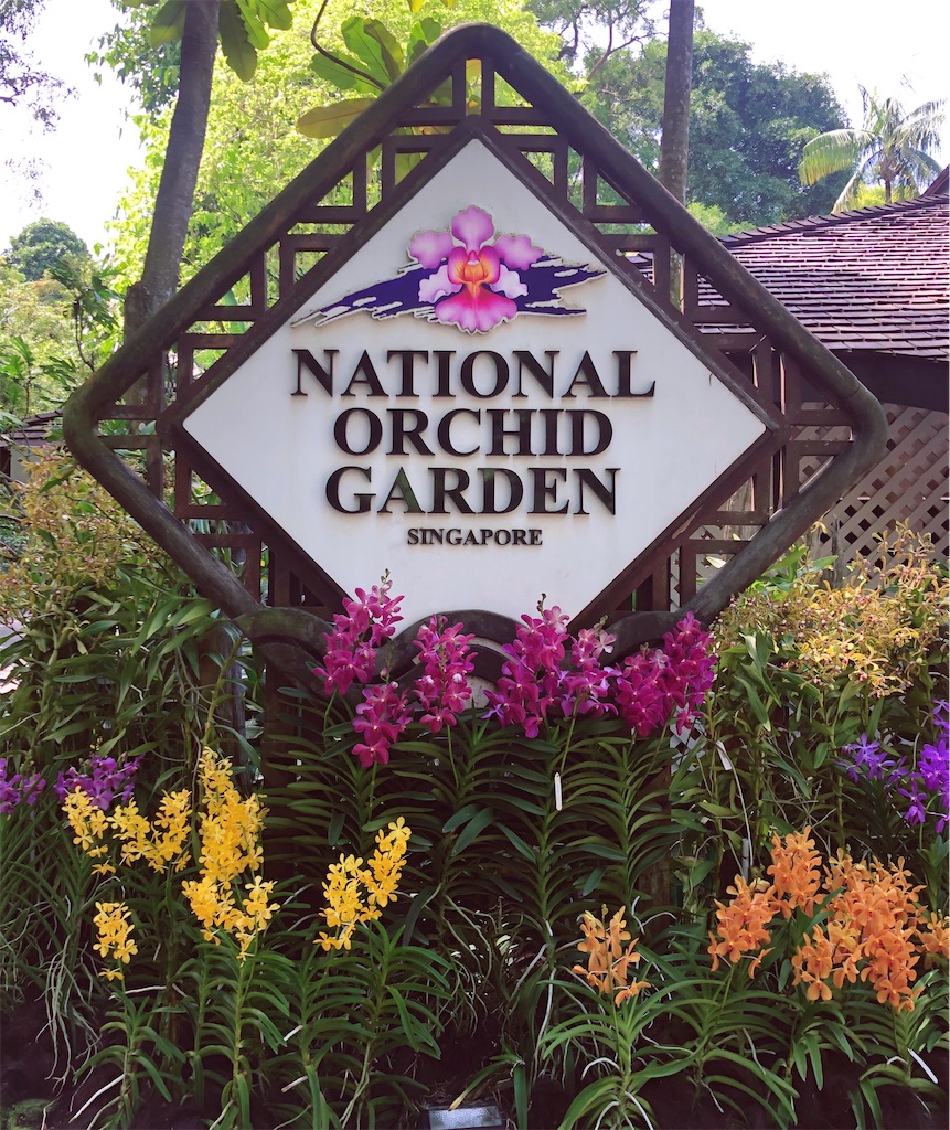 f:id:naikosan:20191220212251j:image