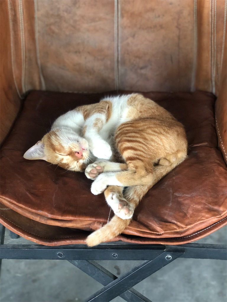 f:id:naikosan:20200929223739j:image f:id:naikosan:20200929223739j:image