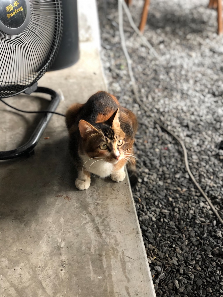 f:id:naikosan:20200929223744j:image f:id:naikosan:20200929223744j:image