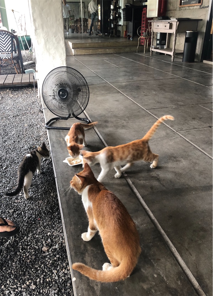 f:id:naikosan:20200929223818j:image f:id:naikosan:20200929223818j:image