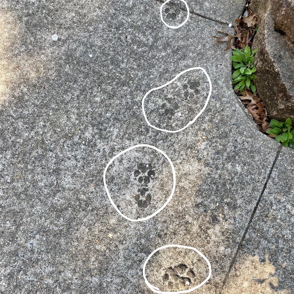 f:id:naikosan:20210903152006j:image