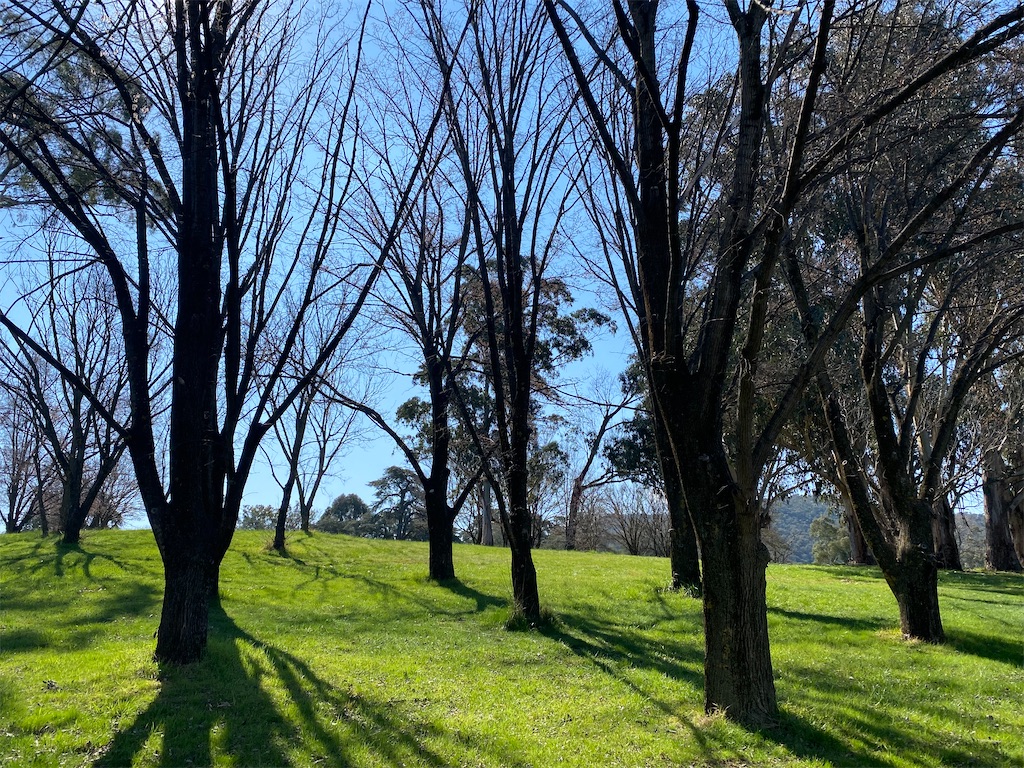 f:id:naikosan:20210903152023j:image