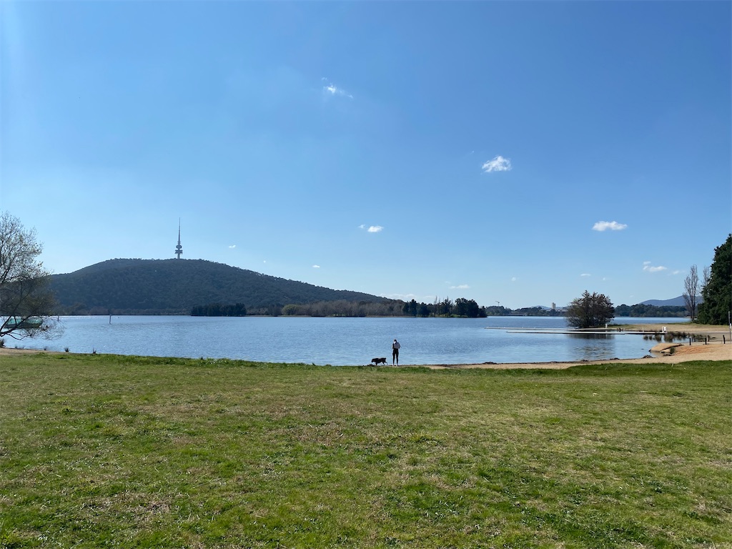 f:id:naikosan:20210903152807j:image