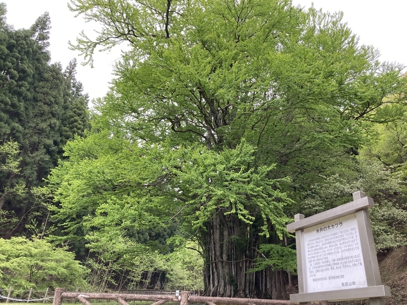 f:id:nairo716:20210430140019j:plain