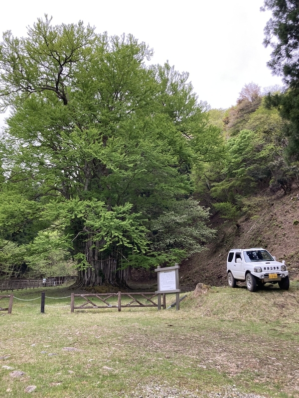 f:id:nairo716:20210430140216j:plain