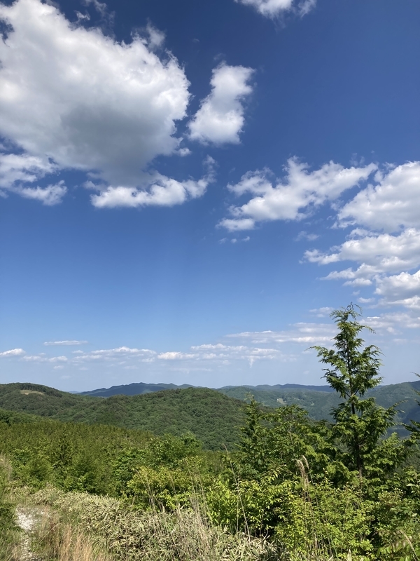 f:id:nairo716:20210605163025j:plain