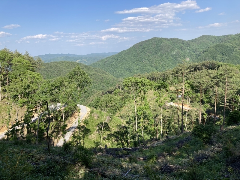 f:id:nairo716:20210605163845j:plain