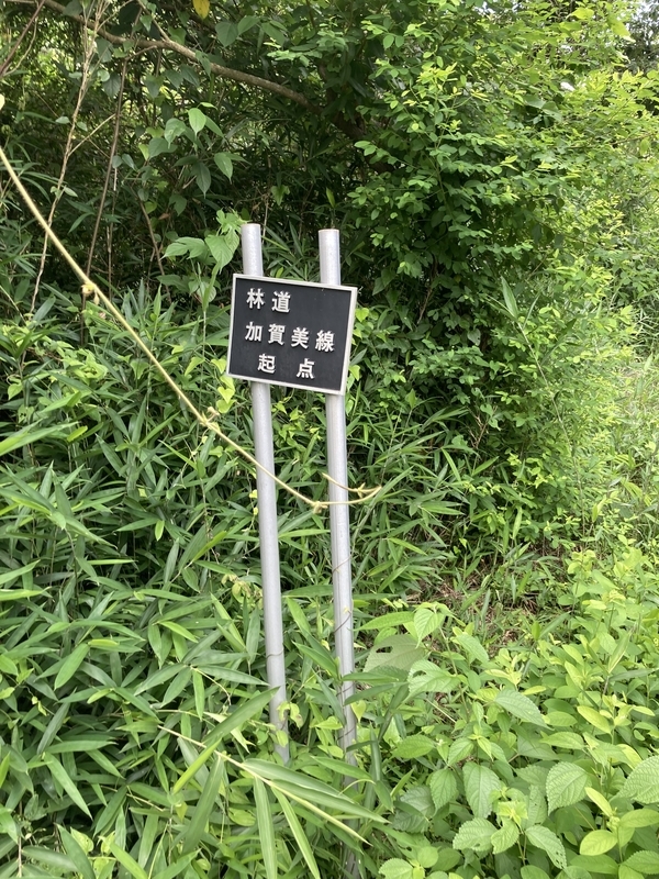 f:id:nairo716:20210713184102j:plain