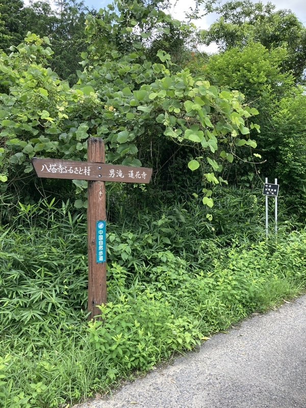 f:id:nairo716:20210713184148j:plain