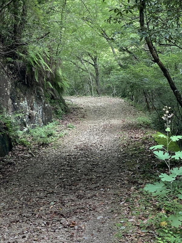 f:id:nairo716:20210713184327j:plain