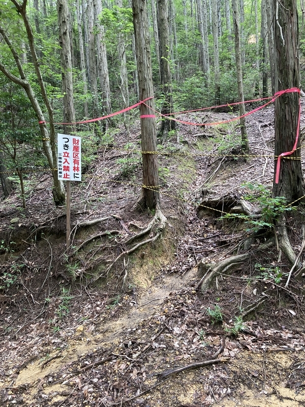 f:id:nairo716:20210713184500j:plain