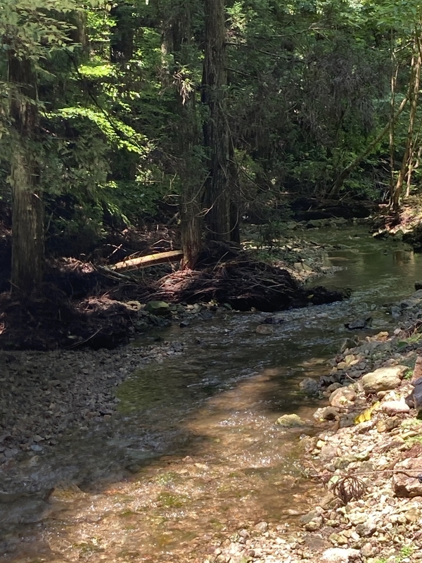 f:id:nairo716:20210713184651j:plain