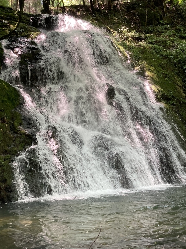 f:id:nairo716:20210713190838j:plain