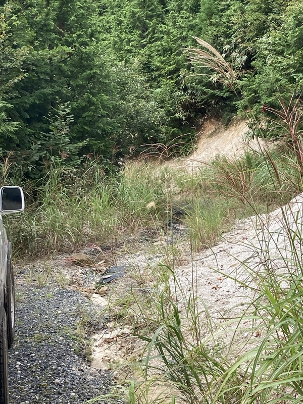 f:id:nairo716:20210908155018j:plain