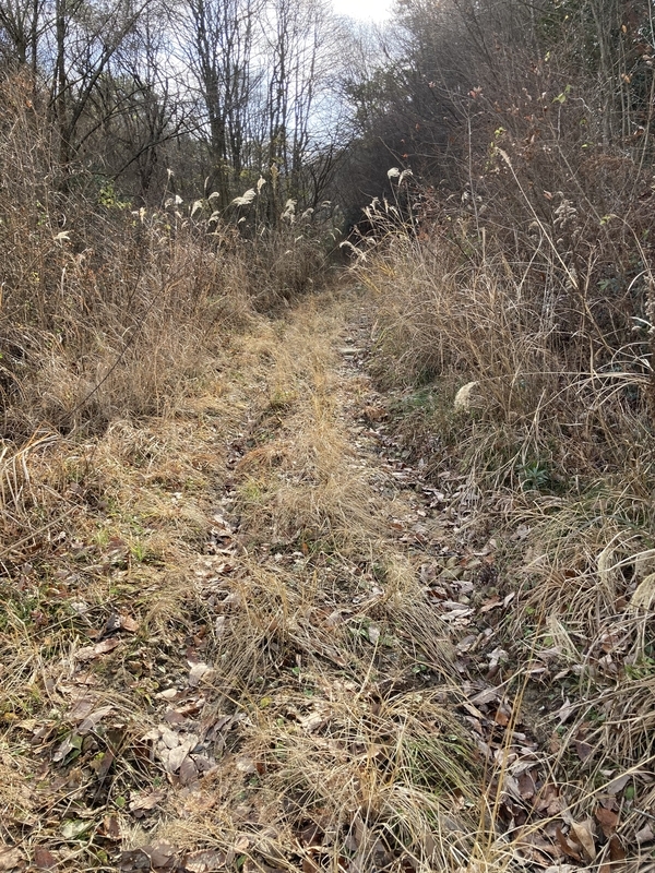 f:id:nairo716:20211227141441j:plain