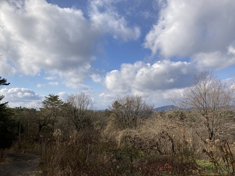 f:id:nairo716:20211227142036j:plain