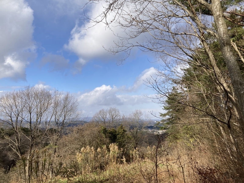 f:id:nairo716:20211227142110j:plain