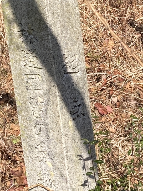 f:id:nairo716:20211227142323j:plain