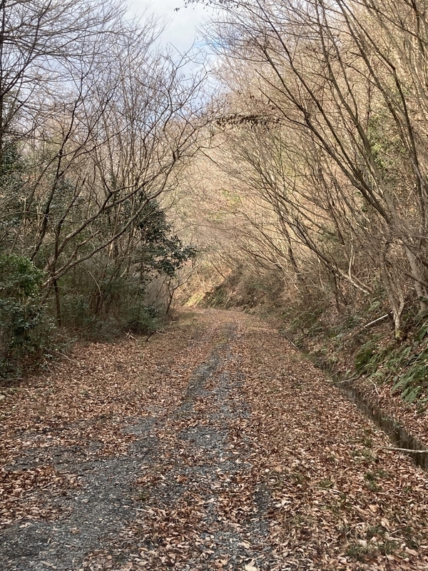 f:id:nairo716:20211227142723j:plain