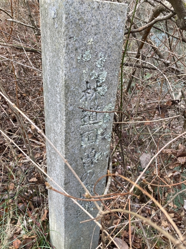 f:id:nairo716:20211227142850j:plain