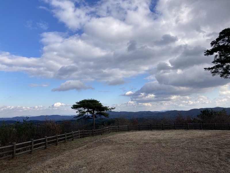 f:id:nairo716:20211227153615j:plain