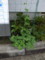 20120714072204