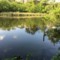20160508071654