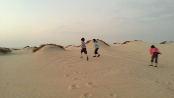 f:id:naitoman:20121227170811j:image