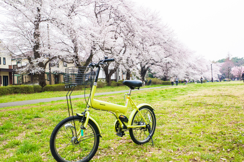 f:id:naitwo2:20180327160946j:plain f:id:naitwo2:20180327160946j:plain