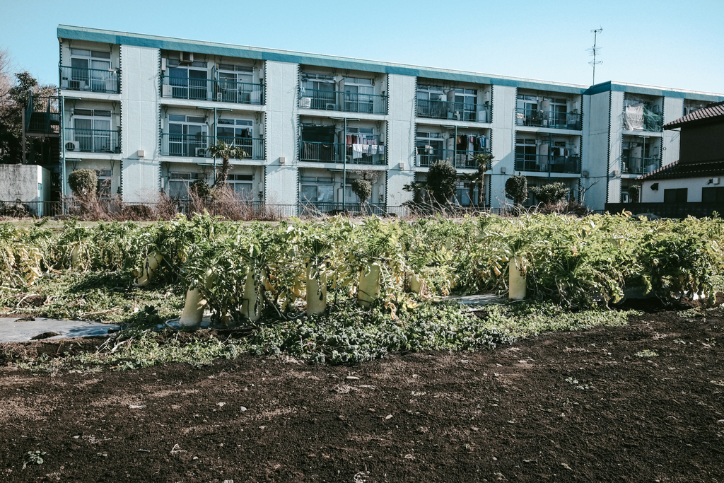 f:id:naitwo2:20190202124623j:plain